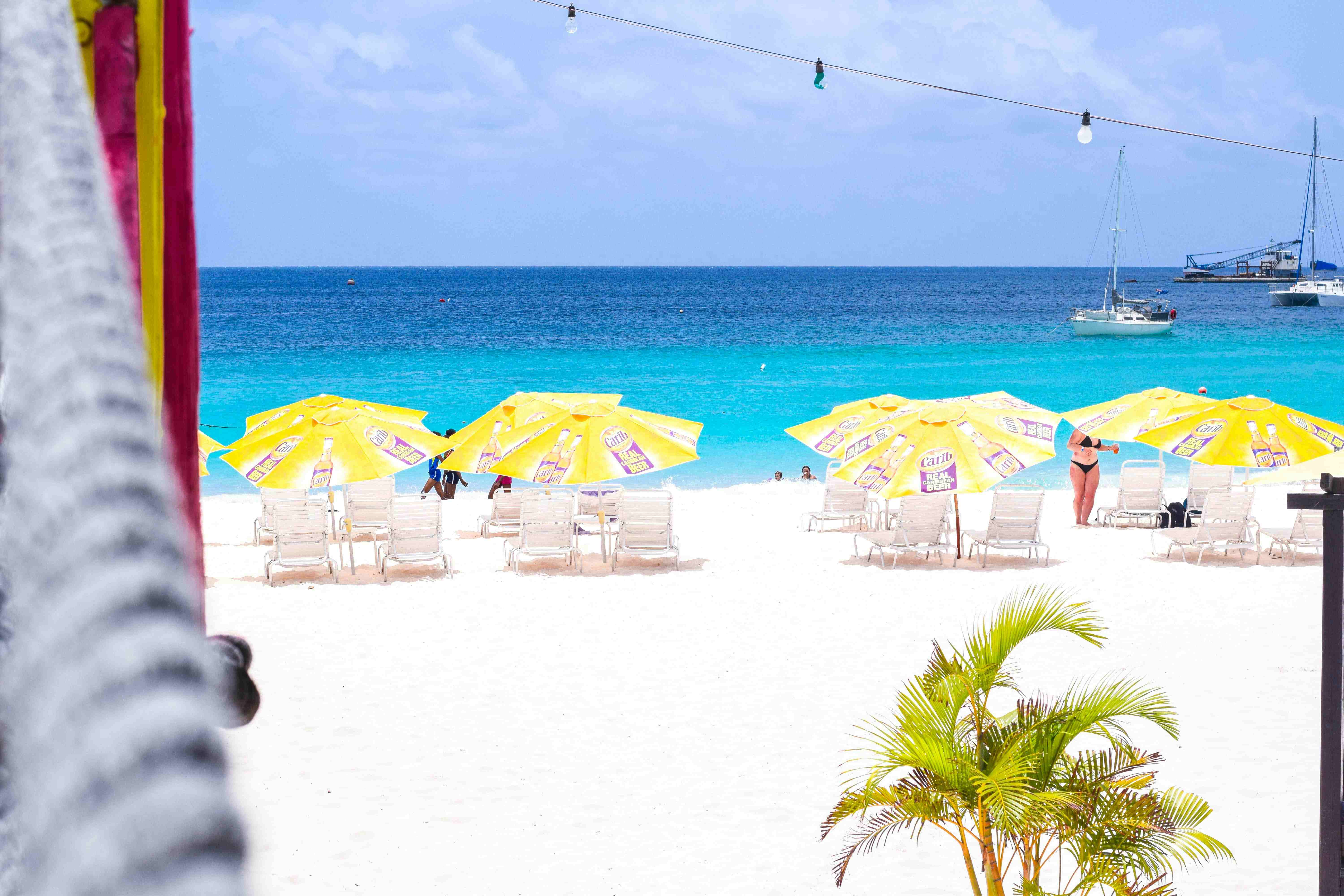 beach with umbrellas in barbados