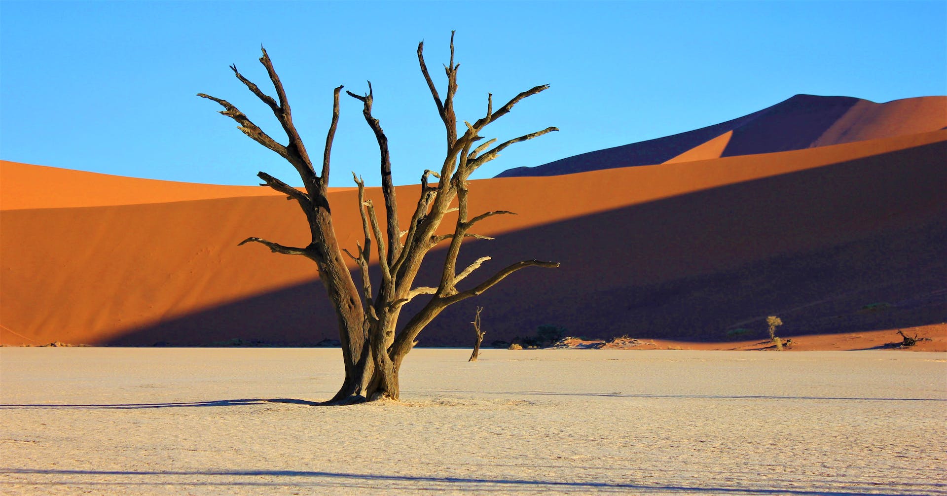 Scenic image of Namibia