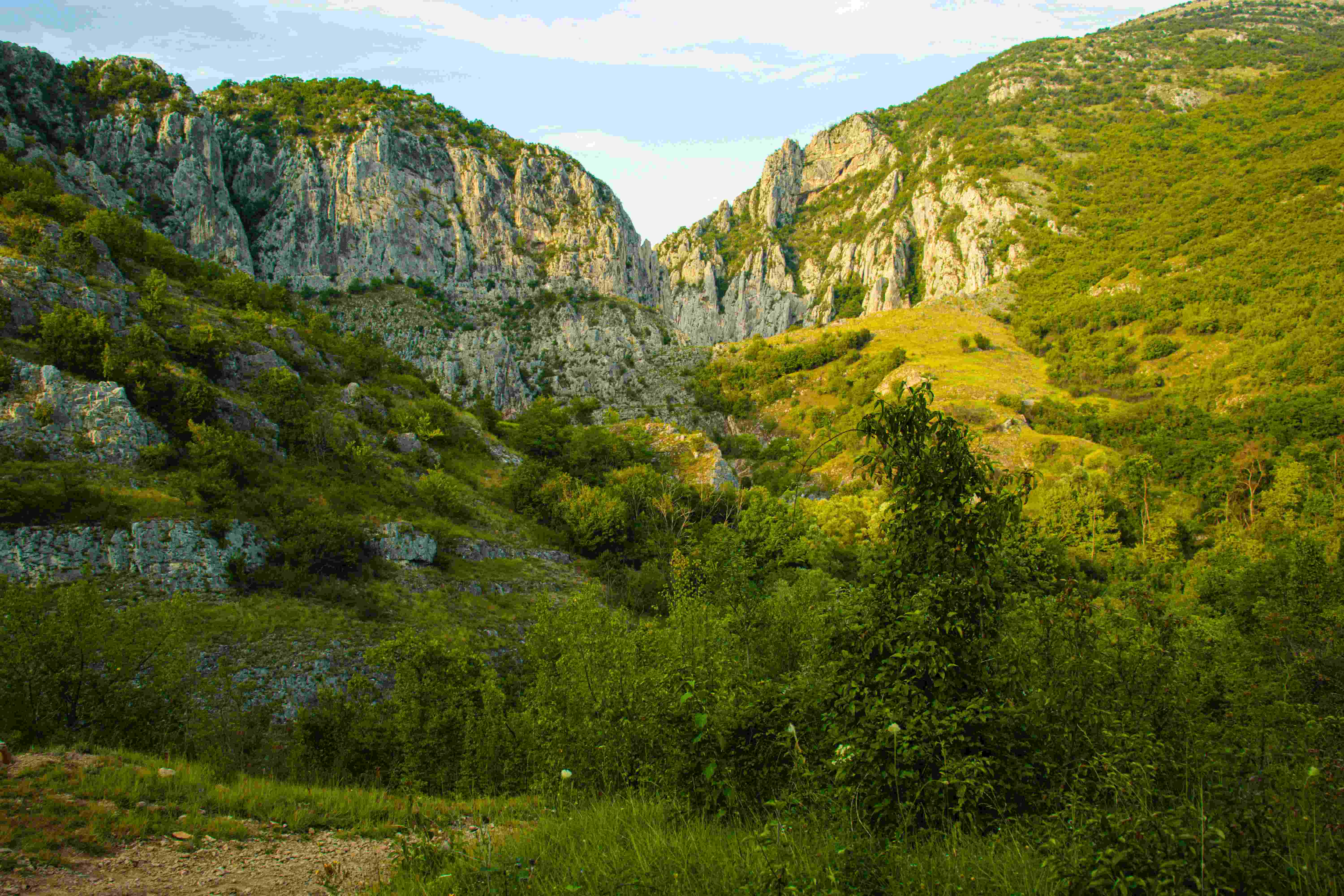 beautiful green mountain landscape