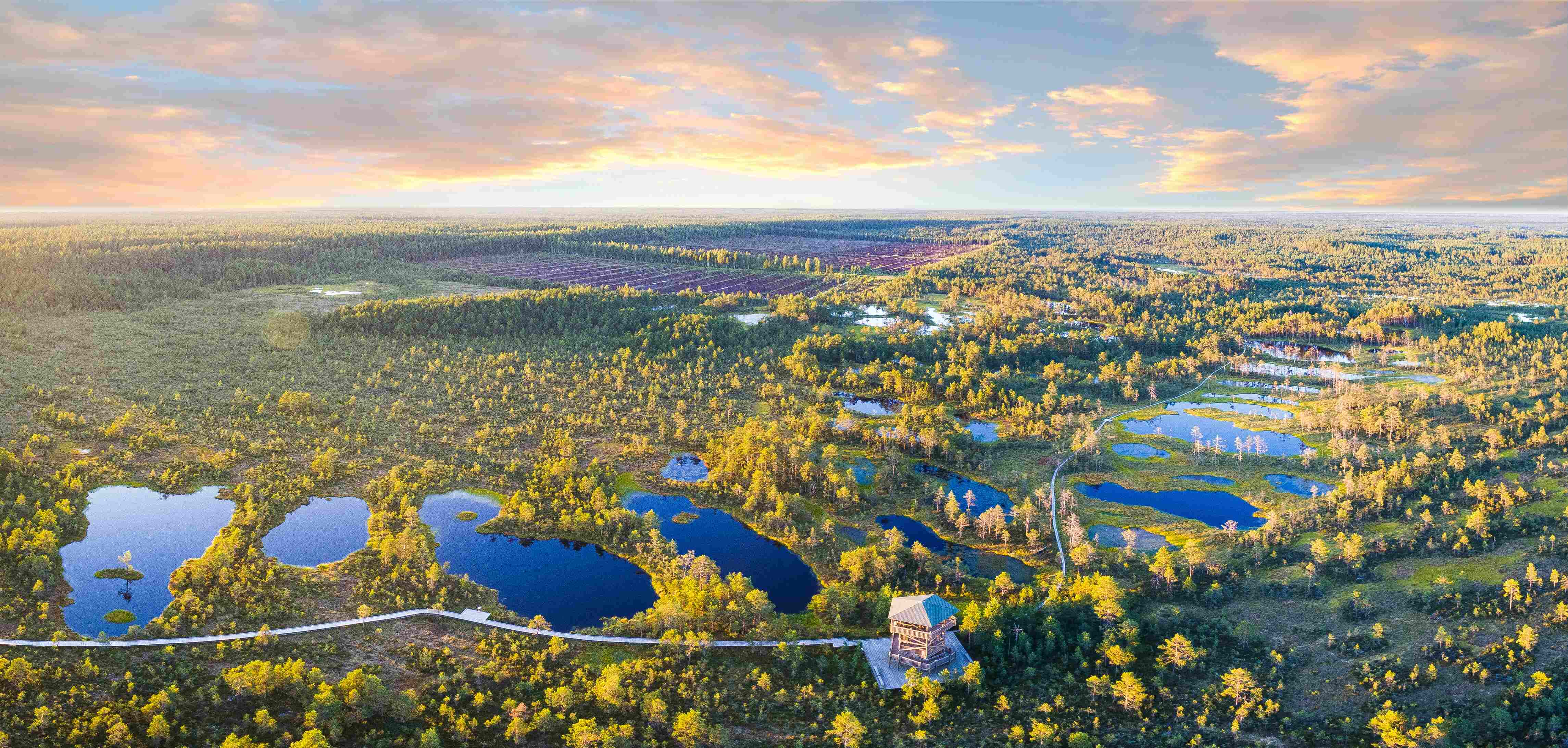 view of lakes in estonia