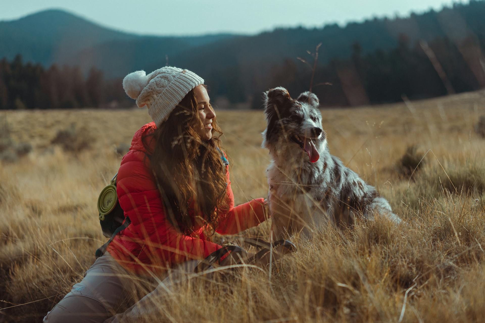 How to Travel with Pets Internationally – Comprehensive Guide for Digital Nomads