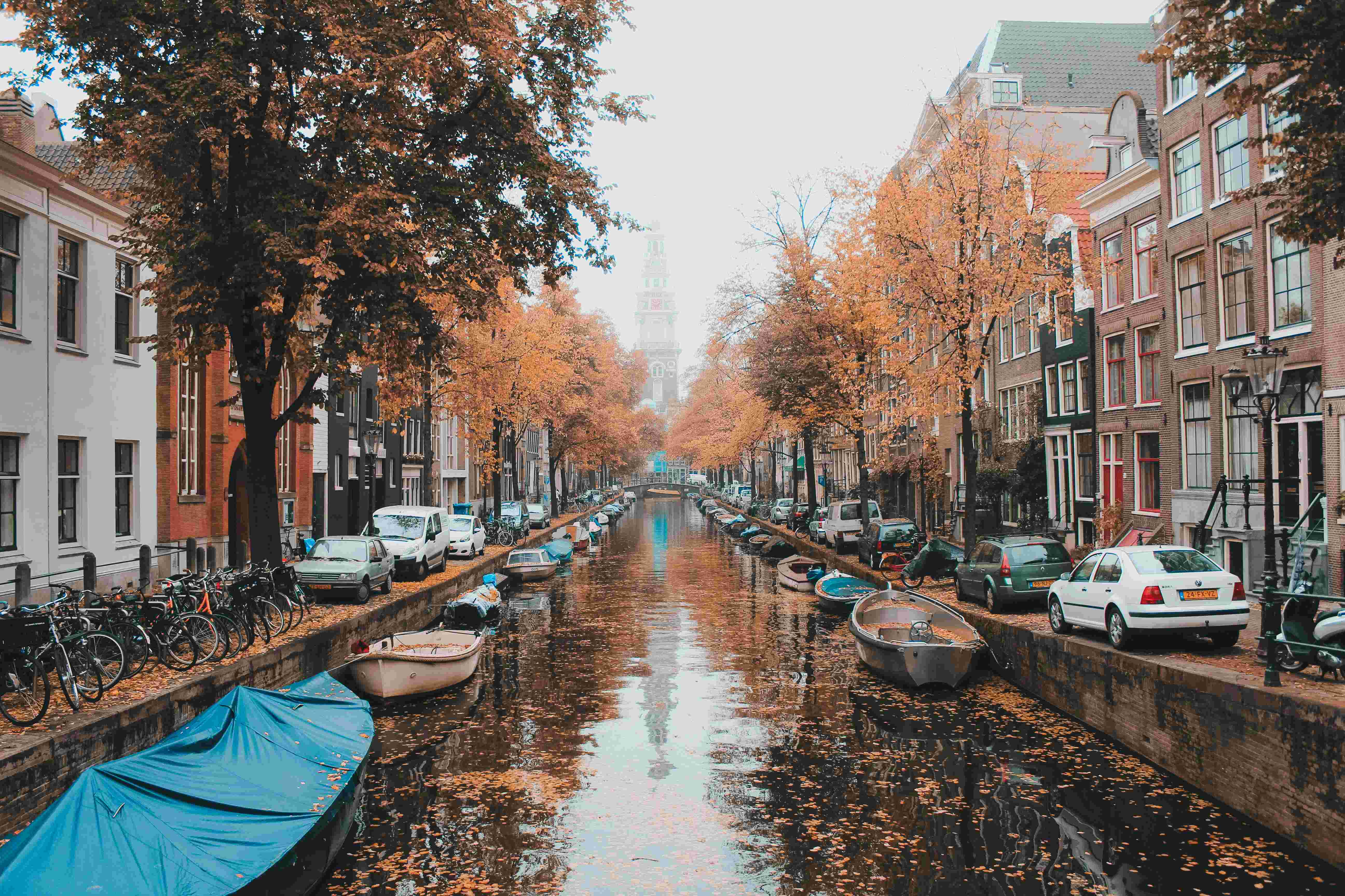 canal filled with orange leaves in netherlands