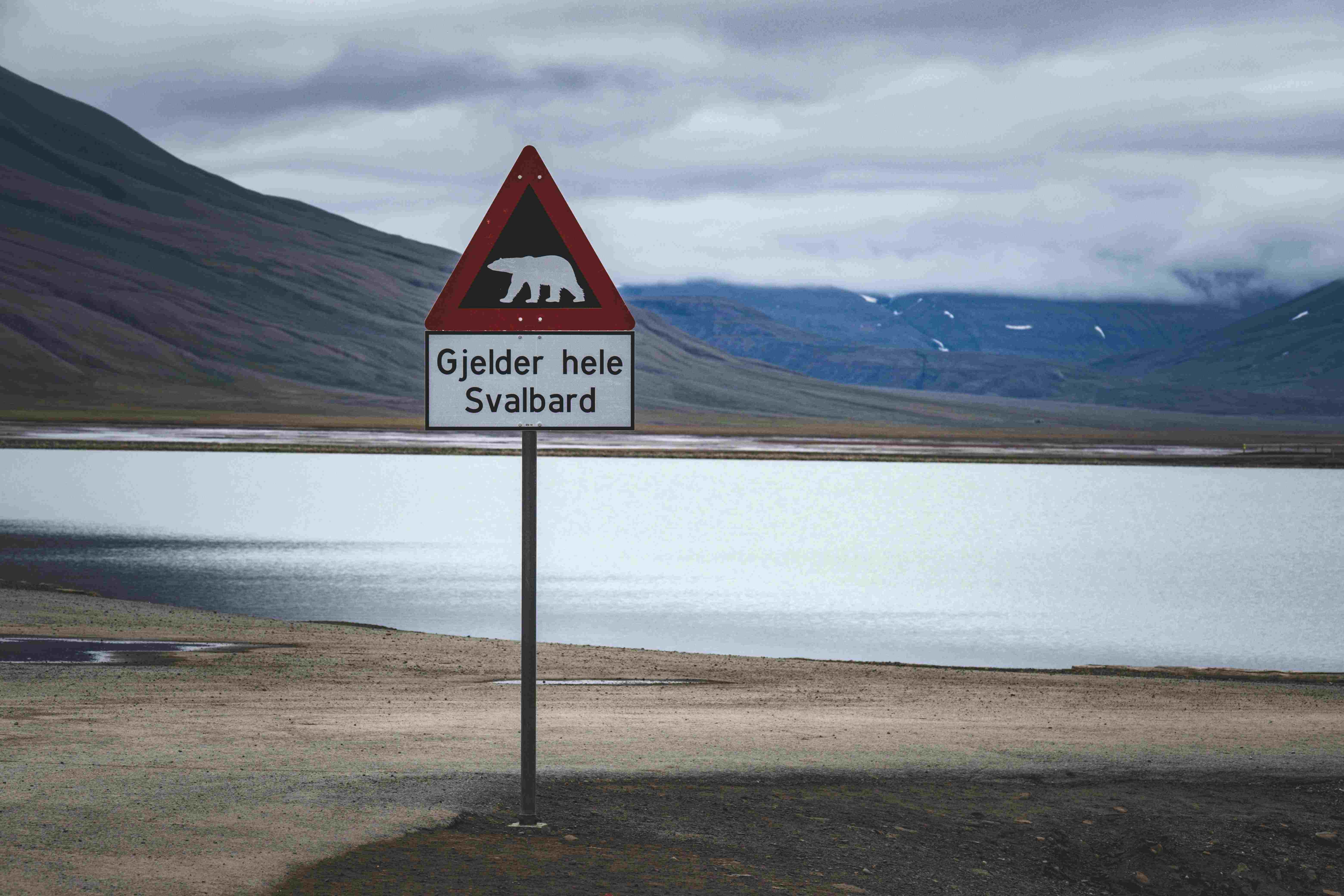 polor bear crossing sign