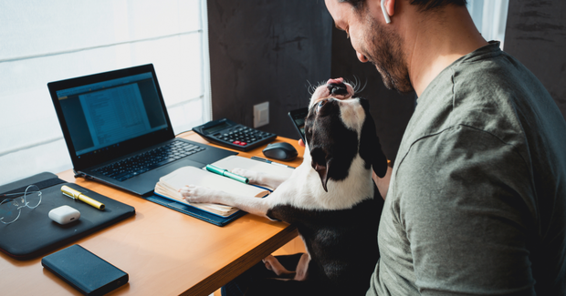 guy working at home with is dog