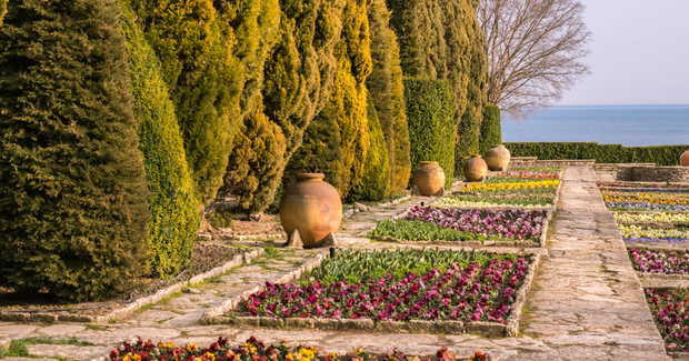 colorful garden