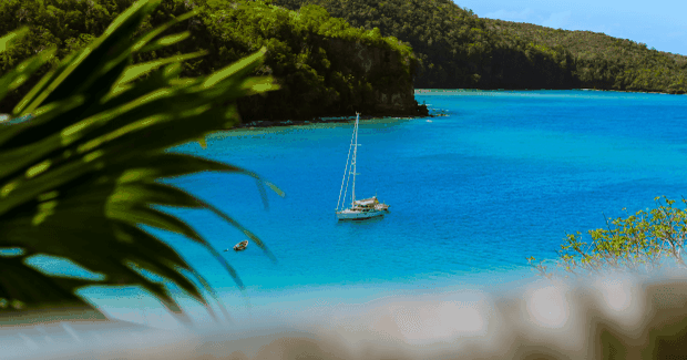 sailboat in the bay