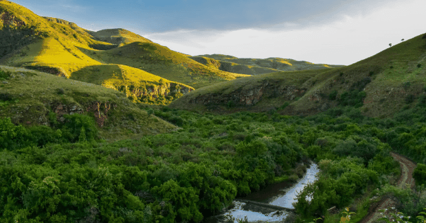 Lush green valley