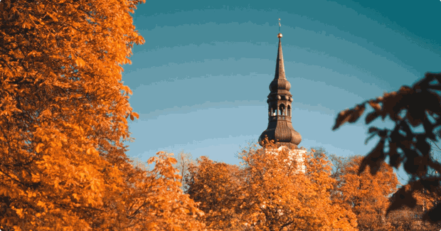 orange trees in estonia