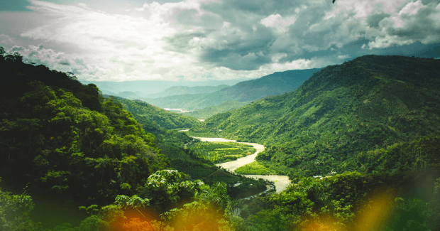 green valley with river flowing